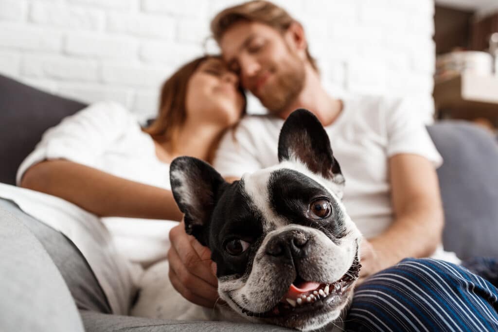 couple_with_dog